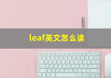 leaf英文怎么读