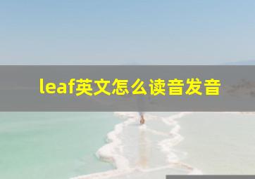 leaf英文怎么读音发音