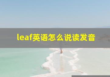 leaf英语怎么说读发音