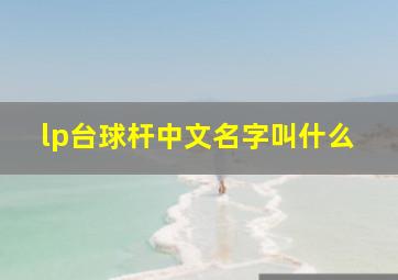 lp台球杆中文名字叫什么