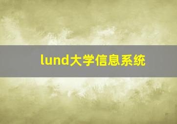 lund大学信息系统