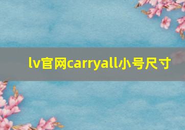 lv官网carryall小号尺寸