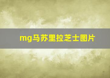 mg马苏里拉芝士图片