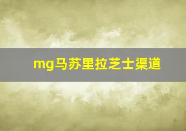 mg马苏里拉芝士渠道