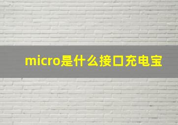 micro是什么接口充电宝