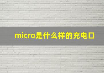 micro是什么样的充电口