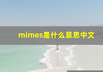 mimes是什么意思中文