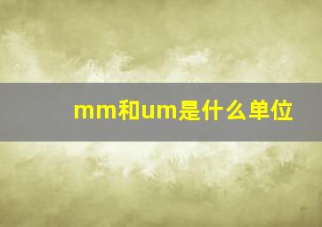 mm和um是什么单位