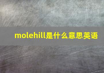 molehill是什么意思英语