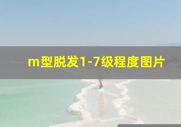 m型脱发1-7级程度图片