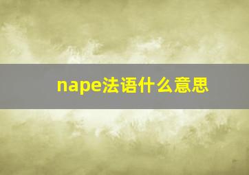 nape法语什么意思