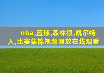 nba,篮球,森林狼,凯尔特人,比赛集锦视频回放在线观看