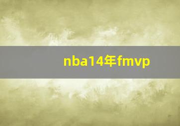 nba14年fmvp