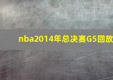 nba2014年总决赛G5回放