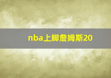 nba上脚詹姆斯20