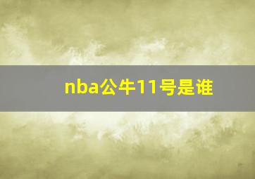 nba公牛11号是谁