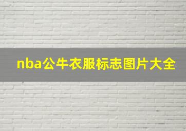 nba公牛衣服标志图片大全