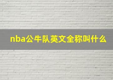 nba公牛队英文全称叫什么