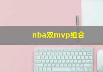 nba双mvp组合