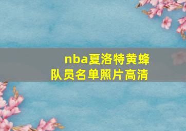 nba夏洛特黄蜂队员名单照片高清