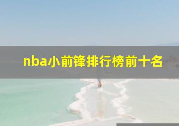 nba小前锋排行榜前十名