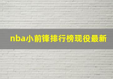 nba小前锋排行榜现役最新