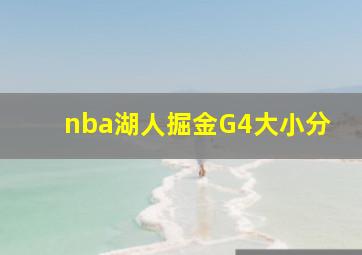 nba湖人掘金G4大小分