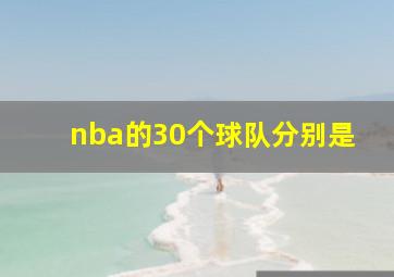 nba的30个球队分别是