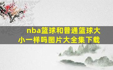 nba篮球和普通篮球大小一样吗图片大全集下载