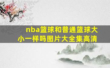 nba篮球和普通篮球大小一样吗图片大全集高清