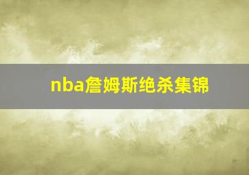 nba詹姆斯绝杀集锦