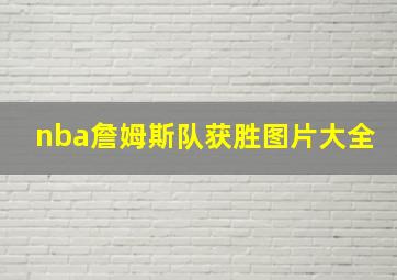 nba詹姆斯队获胜图片大全