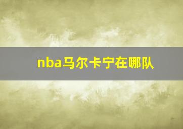 nba马尔卡宁在哪队