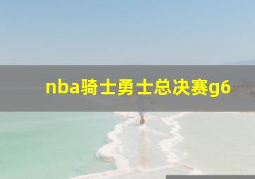 nba骑士勇士总决赛g6