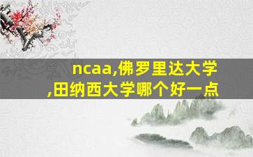 ncaa,佛罗里达大学,田纳西大学哪个好一点