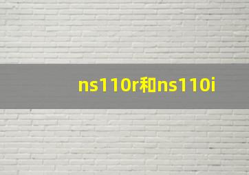 ns110r和ns110i