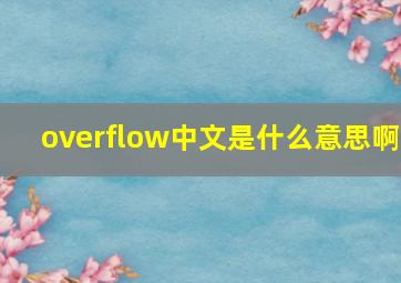 overflow中文是什么意思啊