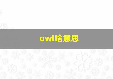 owl啥意思