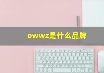 owwz是什么品牌