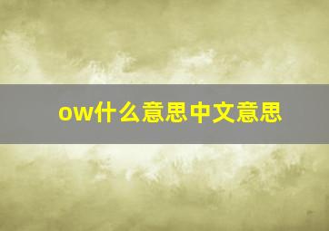 ow什么意思中文意思