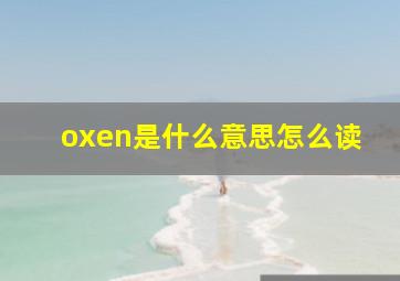 oxen是什么意思怎么读