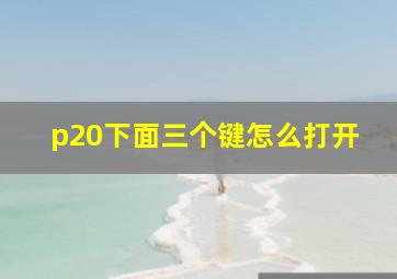 p20下面三个键怎么打开