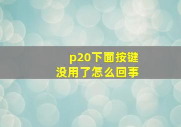 p20下面按键没用了怎么回事