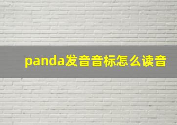 panda发音音标怎么读音