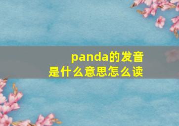 panda的发音是什么意思怎么读