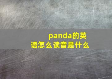 panda的英语怎么读音是什么