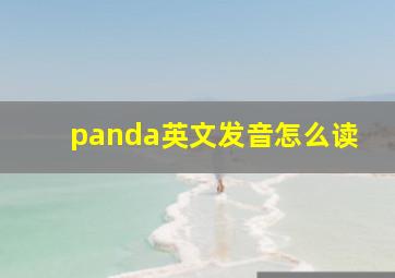 panda英文发音怎么读