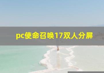 pc使命召唤17双人分屏