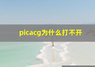 picacg为什么打不开