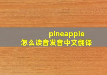 pineapple怎么读音发音中文翻译